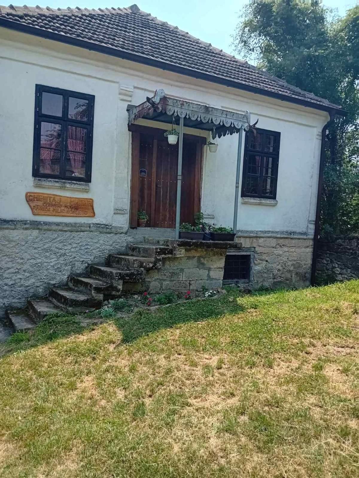 Country House Pivnica Milic Rogljevo公寓 外观 照片