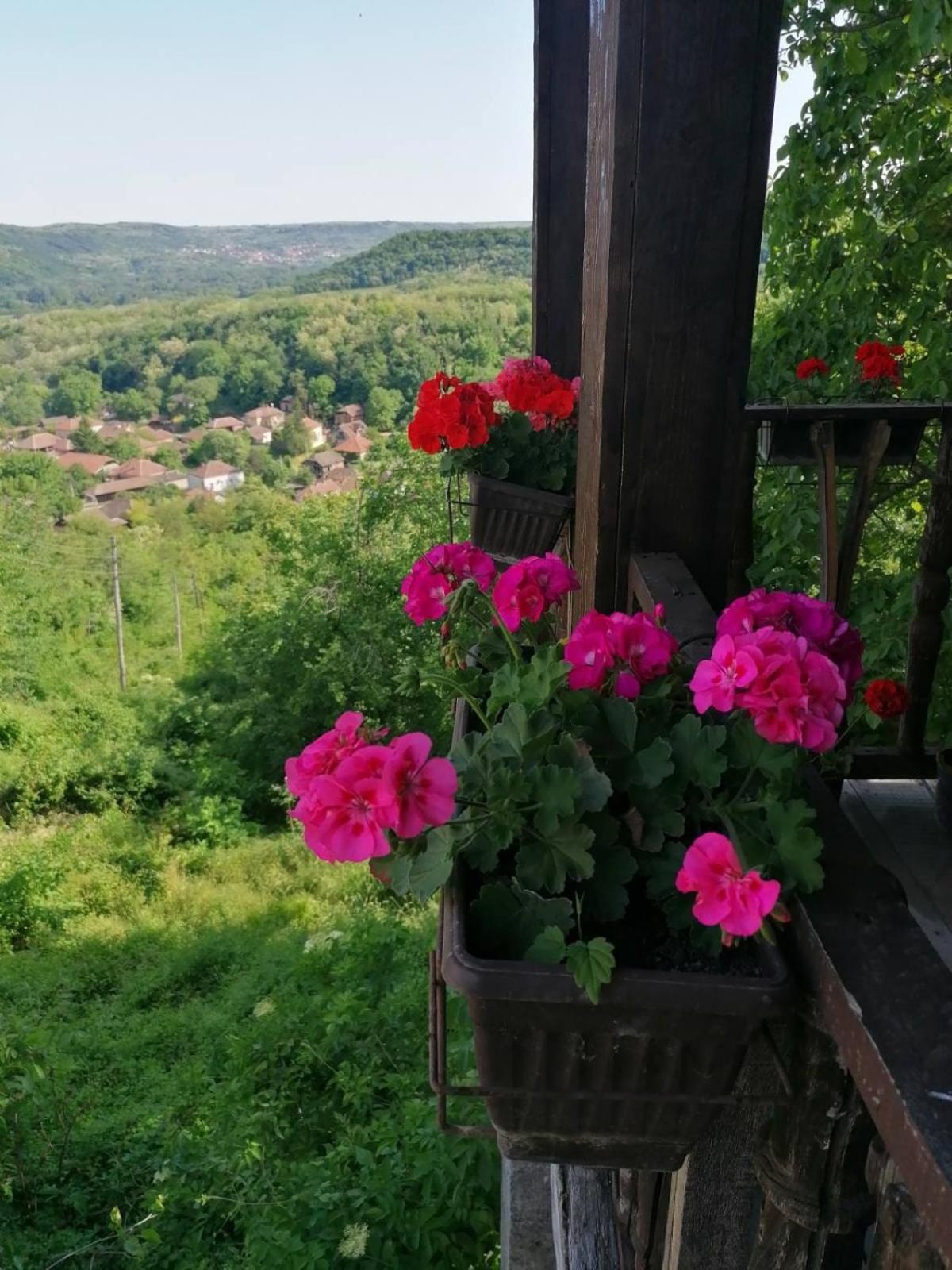 Country House Pivnica Milic Rogljevo 外观 照片